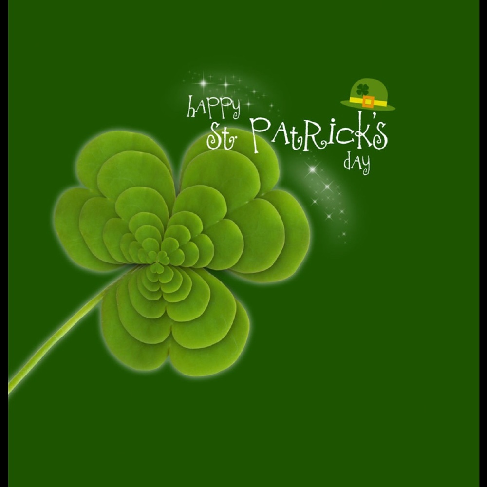 🍀🍀🍀🍀🍀🍀🍀🍀🍀🍀🍀🍀🍀🍀